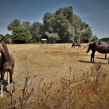 Ferme Equestre Les Coccinelles Farm stay *
