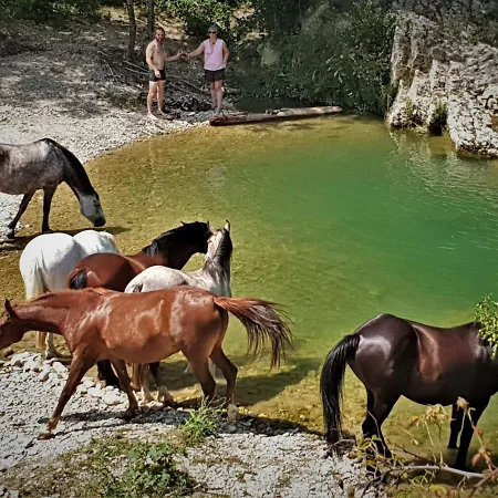 Ferme Equestre Les Coccinelles Farm stay Lurs