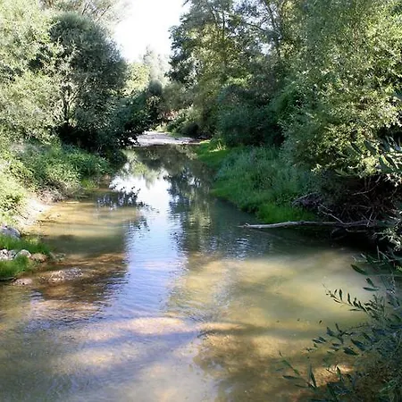 Farm stay Ferme Equestre Les Coccinelles Lurs